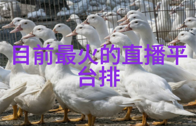 美联储会议决策再次降低利率以刺激经济增长