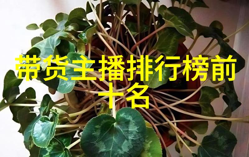 小八卦的秘力揭秘身佩八卦的运势与健康效益