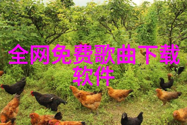 星光下的盛宴一场音乐与梦想的交响