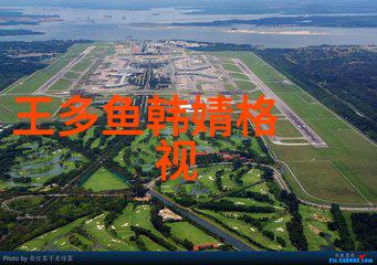 和声交响探索音乐世界的奥秘与魅力