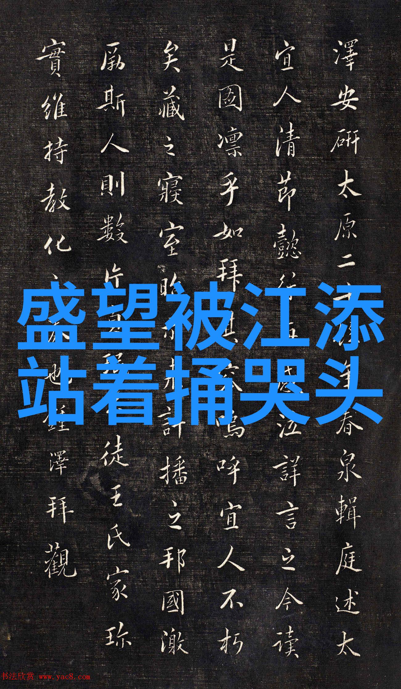 时尚美女风格时尚界的魅力女性