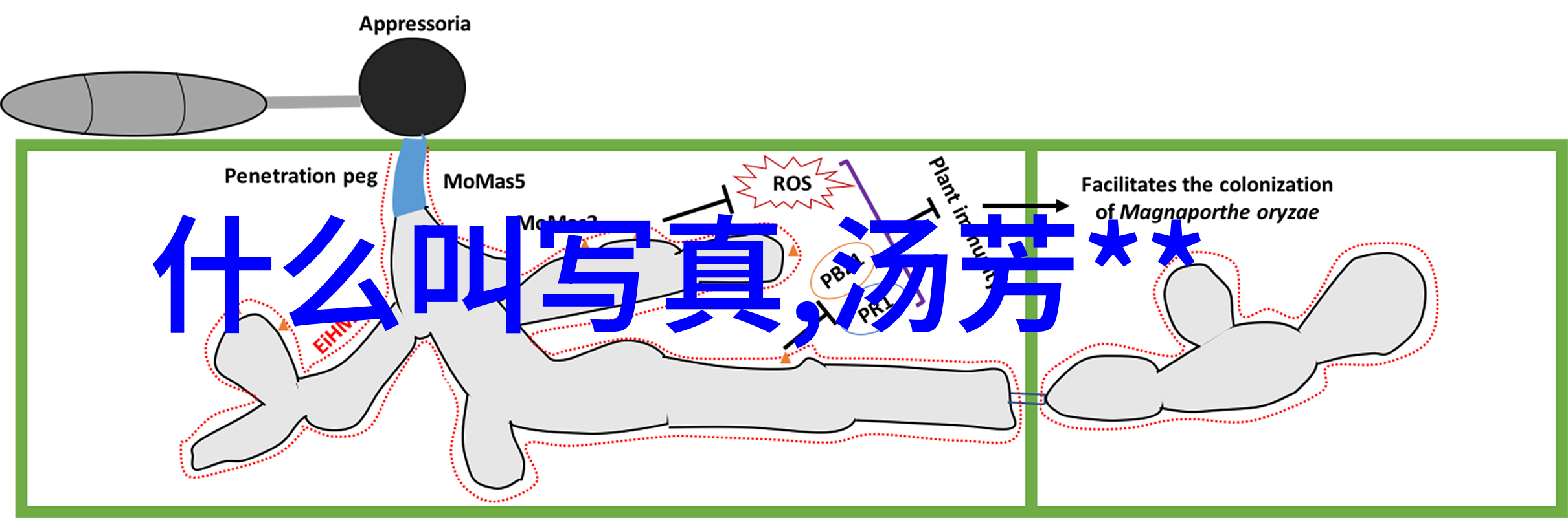 今日娱乐头条影后归来李丽珍新剧热播引争议
