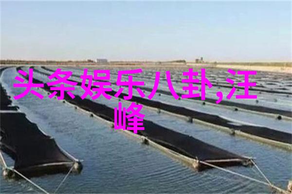 主题-日本影视珍品揭秘最好看的日本电影免费观看