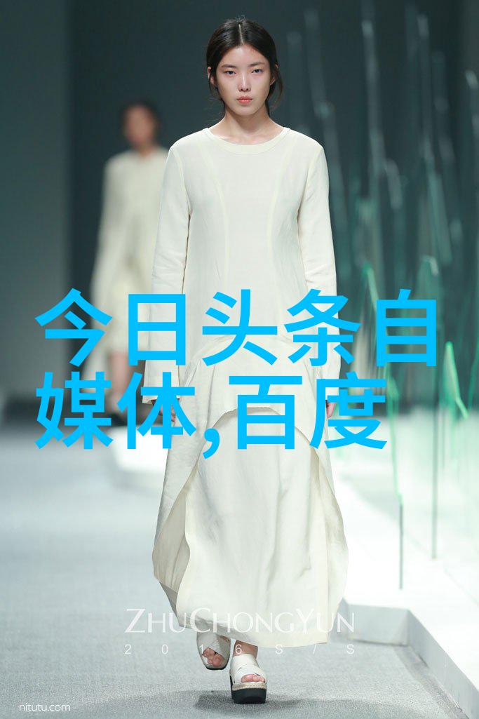 岛国的自主台湾的未来探索
