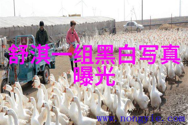 音乐盛宴2023年最受期待的音乐节回顾