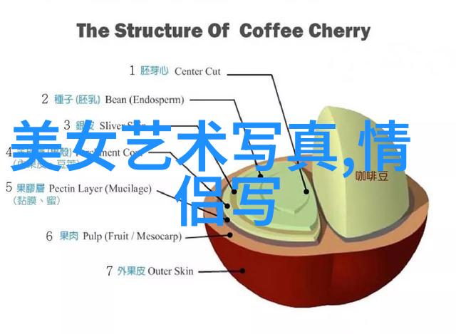 对比分析为什么选择用手机上下架的官方版还是第三方版本来安装蝶恋花