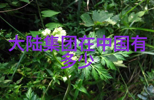 台湾局势动荡最新消息指南