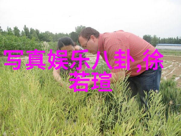 娱乐圈话题-邓伦的选择背后的原因与未来的展望