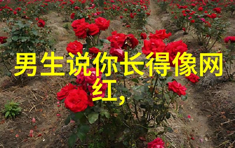 光影穿梭天启影视之谜