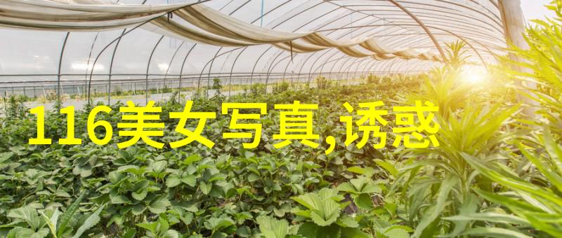 她们是领导者以实际行动诠释女性霸气
