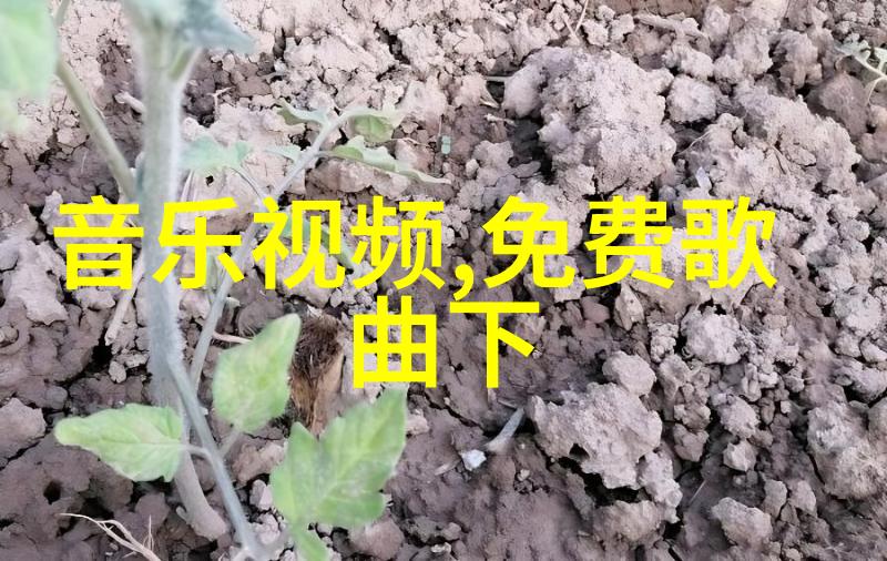 陈志云与丛培昆零交流 离开法庭案件延期再审