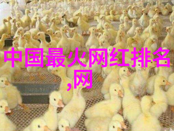 主题我亲眼见到的丝袜美女写真她那一双诱人的腿和我的心