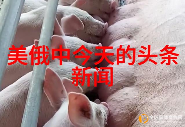 我们可以通过什么方法来支持那些创作了优秀作品但希望获得更多曝光的新人艺术家
