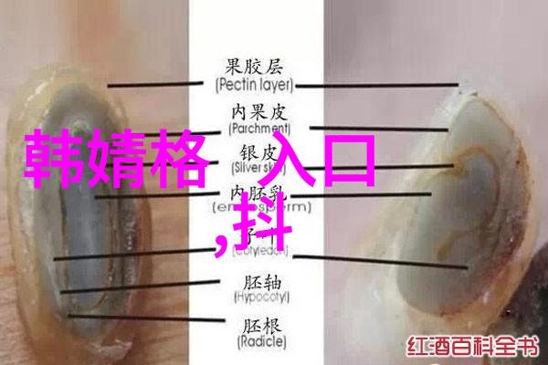 中国哪个省的网红最多-抖音舞者与快手美食揭秘中国网红之都