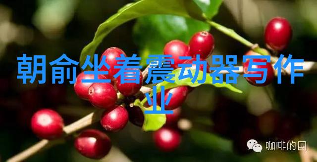 银河之光月影幻境的无价珍宝