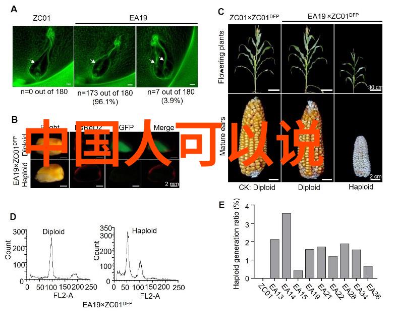 免费美图宝库好看又免费的图片素材探索