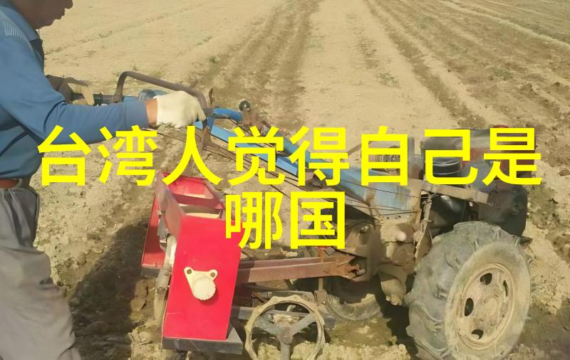 深情的承诺触动心灵的温暖言语