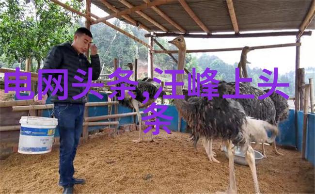 八字算命网免费精准八字解析