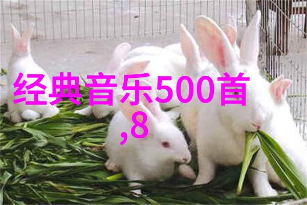 一个人的失落伤感图片我眼里泪水的故事一张让人心碎的照片