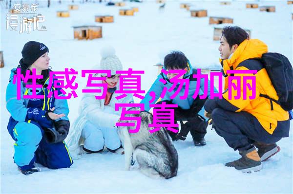 笑料满屋综艺大咖的趣事百出