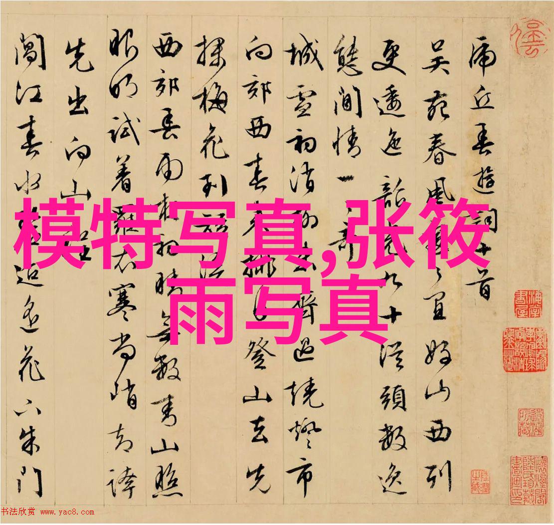 中国首次发射长征八号高分三号卫星深入探索地球资源监测新篇章
