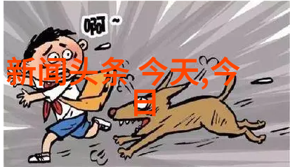 娱乐圈是我的舞台星光闪耀的梦想之旅