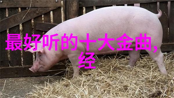 汪峰终于上头条了我都快不敢相信自己的眼睛啦