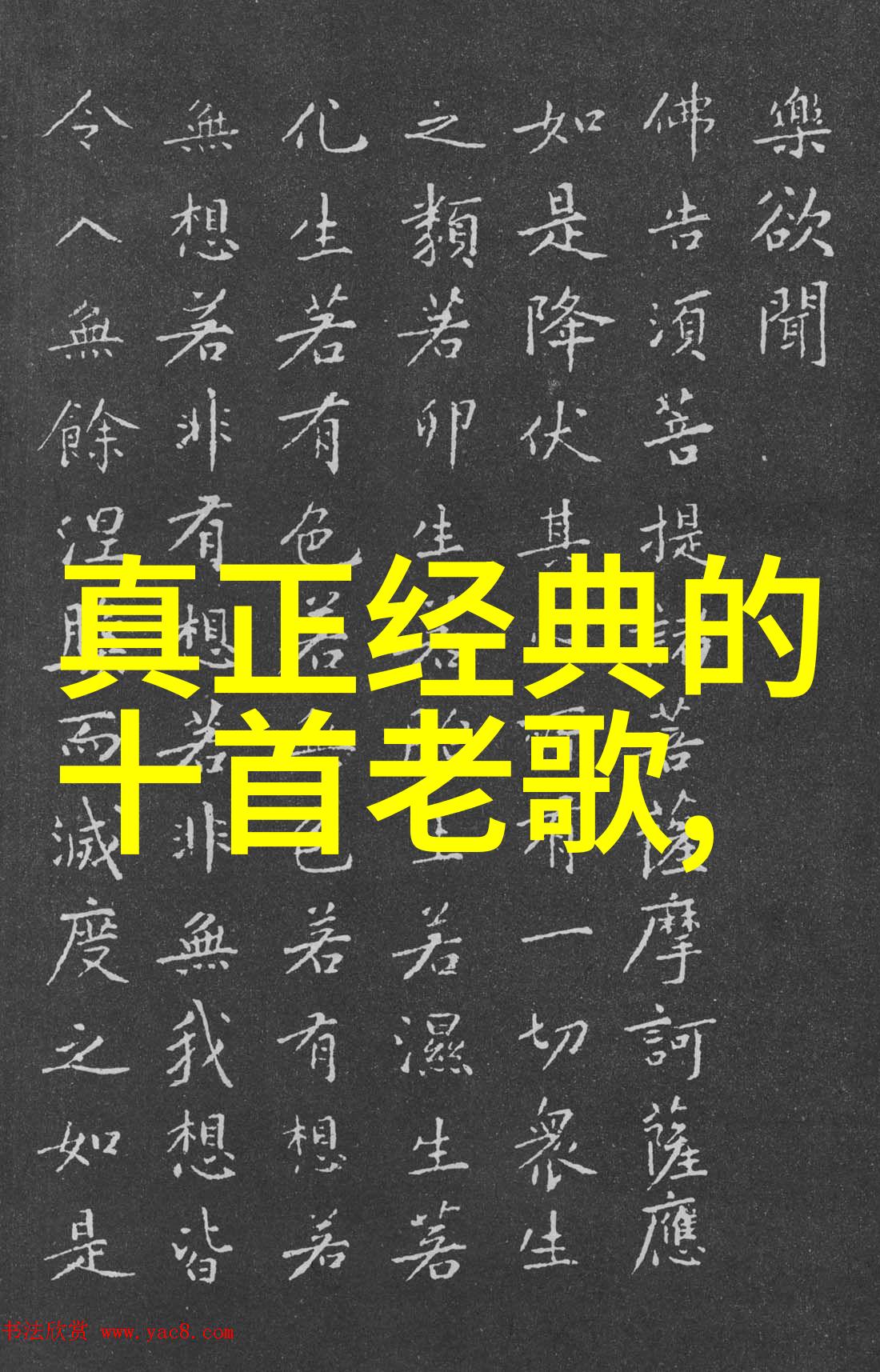 2023年最新抖音图片潮流视觉盛宴