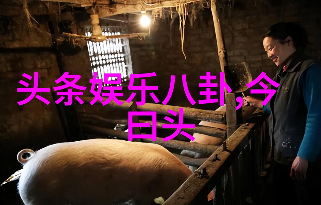 是否有提供特定风格或者主题的服务比如时尚人像等类别