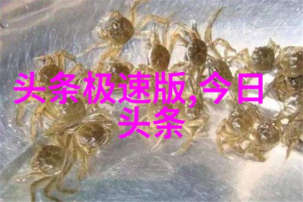 音波之翼心灵的翅膀免费听歌神器的诗篇