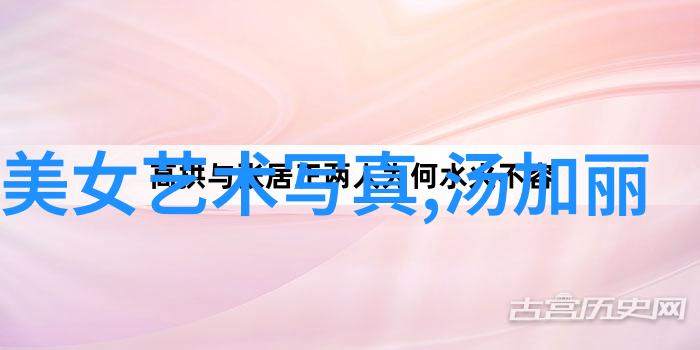 岛嶼的双重奏鸣台湾现状探索