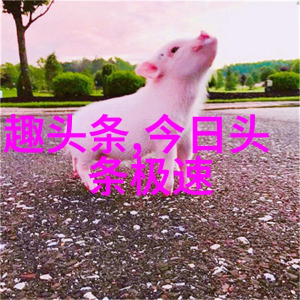 表白情书100字沉醉于你的笑容中永远与你同行