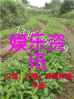 银幕下的遥望城市的影子与梦想