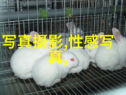 综艺风云幕后花园的秘密