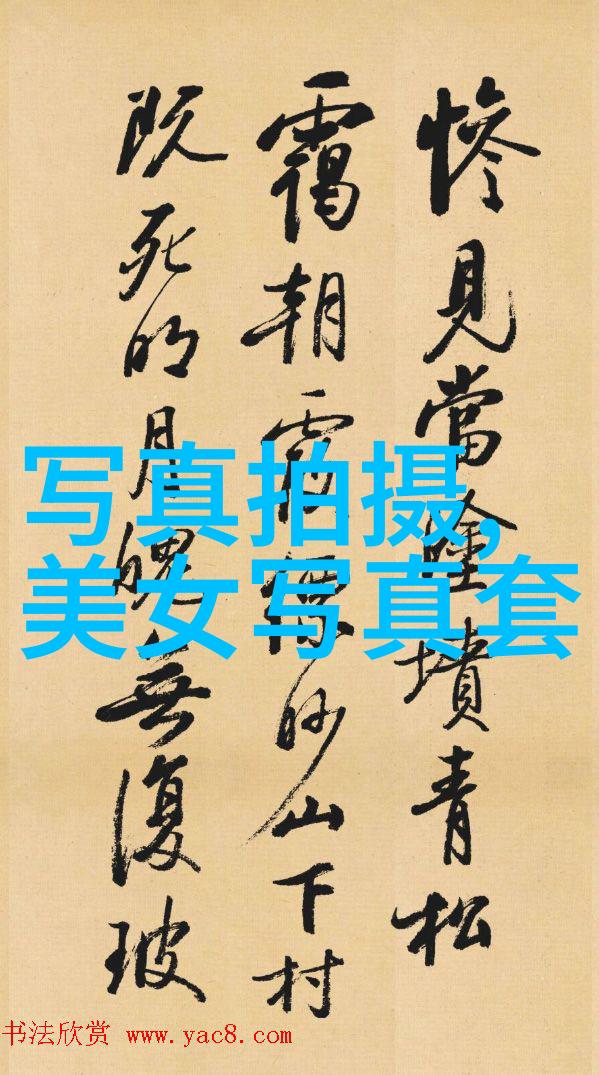 421PDF解密揭开数字文档的秘密世界