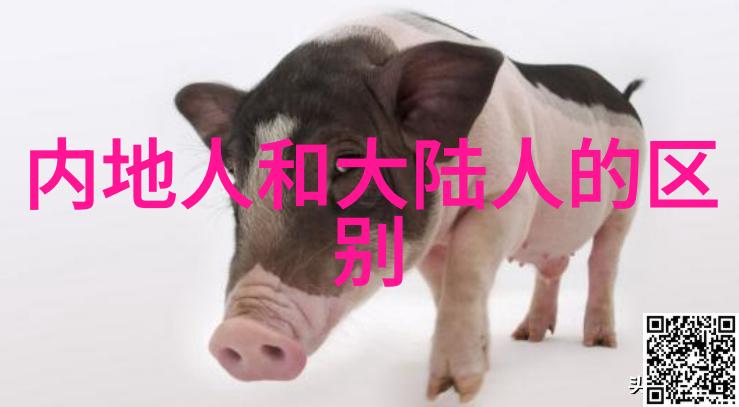 流行音乐界幕后英雄制作人与歌手合作故事集锦