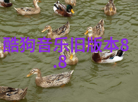 原创头条时光飞逝快节奏生活下的哈哈笑声