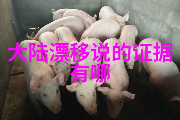正大综艺主持人的搞笑脱口秀玩转舞台的欢乐三人组