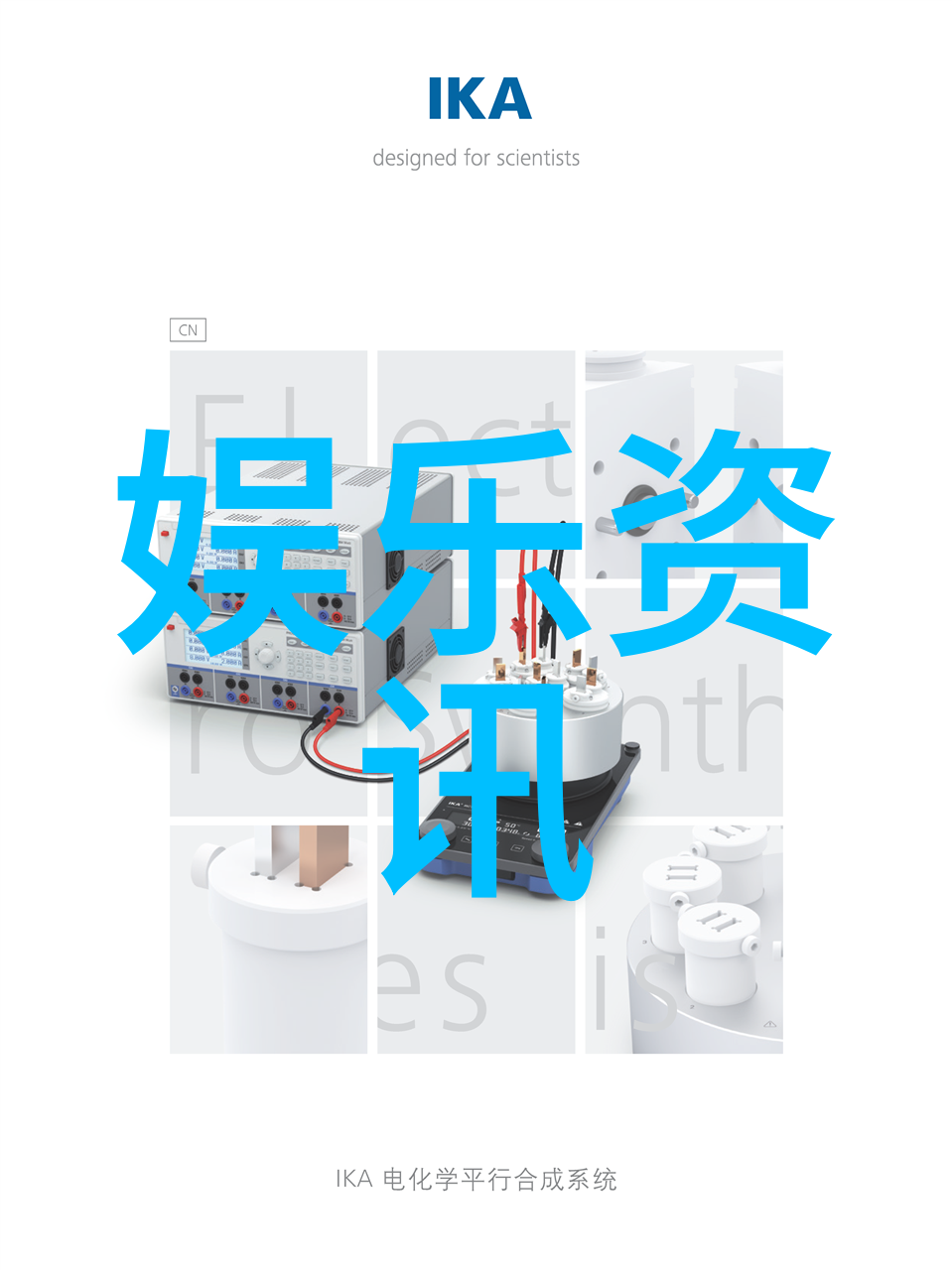 浪漫时刻情侣写真的魅力与艺术
