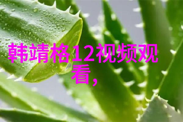 逆境煎熬极限挑战的生死线