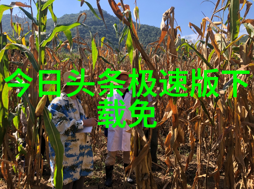 温柔时光的影像十年一品中的言情佳话