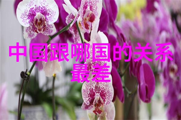 娱乐圈潜规则揭秘背后权力游戏如何塑造明星形象