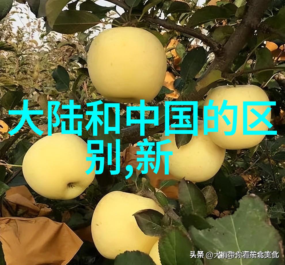 为何不尝试使用这些全新个性十足的纯英文情侣网名呢2022年最好听的情侣称呼等着你