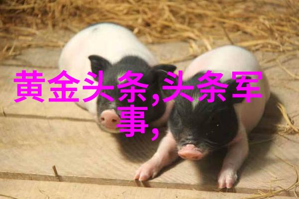 2. 什么是月亮影视大全它的历史和影响力又如何