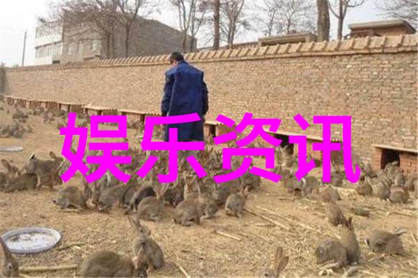 写真娱乐八卦揭秘明星们私下里的趣事