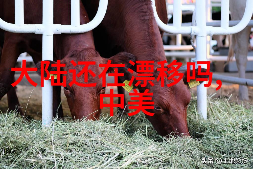 文思泉涌如何让写真的成为创作的源泉