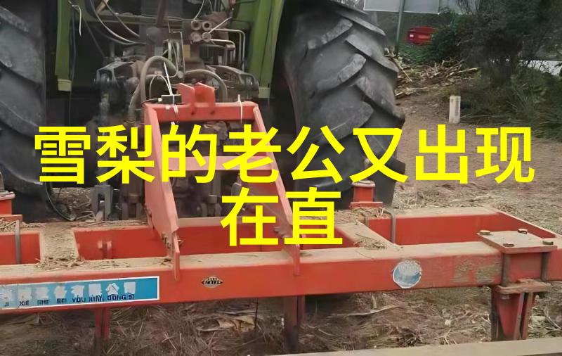 岁月静好探索老歌100首经典老歌免费听的文化价值