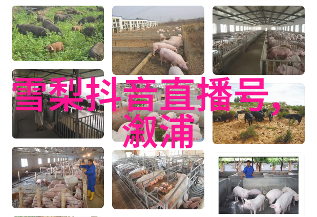 娱乐圈潜规则-幕后交易揭秘娱乐圈的不为人知规则