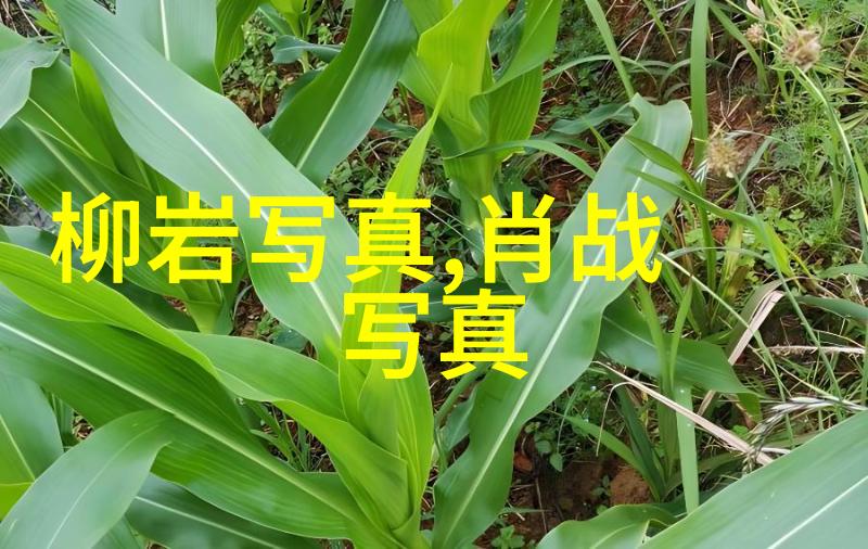 变形金刚机器的觉醒与友谊的铸就