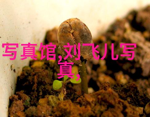 趣头条为什么这么受欢迎它提供了哪些吸引人的理由